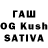 Псилоцибиновые грибы Cubensis GroZa KraGeN