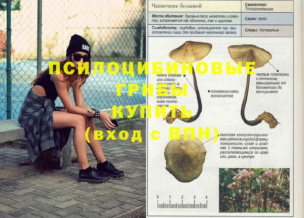 дурь Ростов