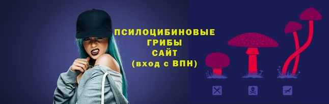 кокс Абаза
