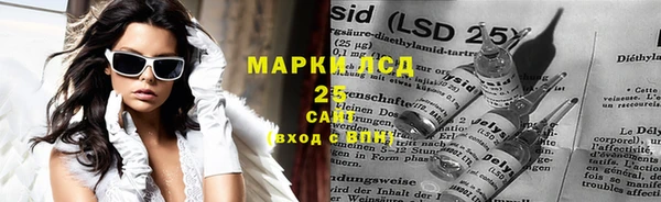 индика Рославль